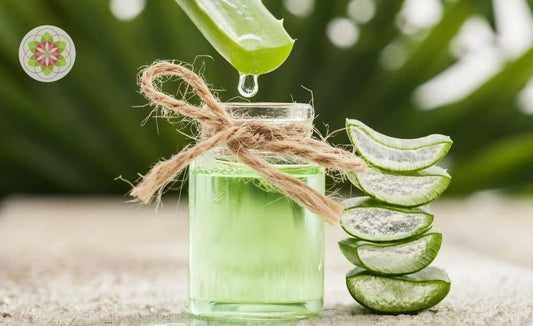 50 Benefits of Aloe Vera- Aloe Barbadians Miller