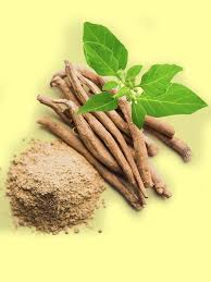50 Benefits of Ashwagandha- Withania Somnifera