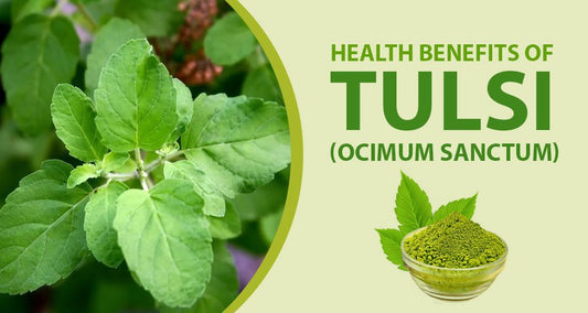 50 Benefits of Tulsi- Holy Basil