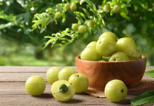 50 Benefits of Amla- Phyllanthus Emblica