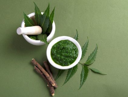 50 Benefits of Neem- Azadirachta Indica